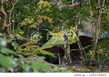 法然院　山門（額縁門）紅葉 109378689