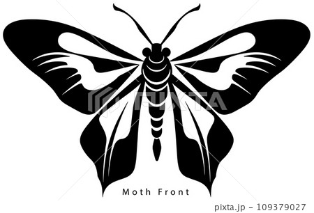 Monarch butterfly silhouette. Vector illustration Monarch butterfly silhouette. Vector illustration 109379027
