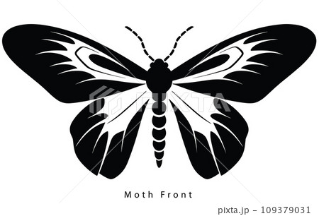 Monarch butterfly silhouette. Vector illustration 109379031