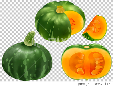 Pumpkin illustration material set painted in watercolor Pumpkin illustration material set painted in watercolor 109379147