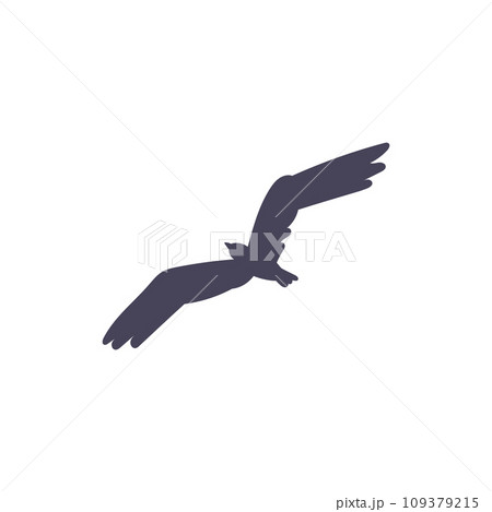 Flying bird silhouette, vector illustration isolated on white background Flying bird silhouette, vector illustration isolated on white background 109379215