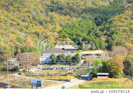 立杭の里山風景 立杭の里山風景 109379218