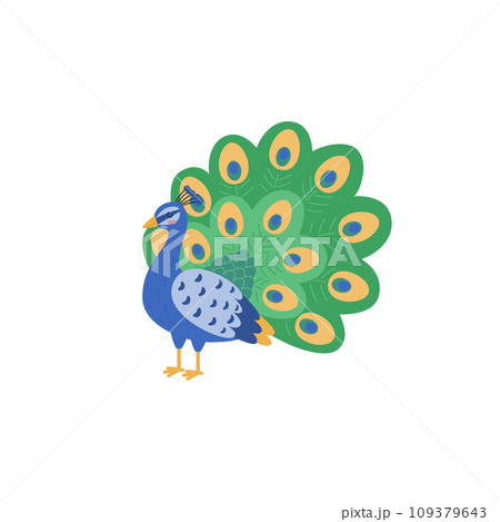 Beautiful peacock with amazing tail, bird with ornamental feathers decorative elegant plumage vector exotic peafowl 109379643
