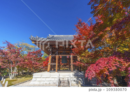 秋の智積院　もみじ越しに見える鐘楼堂（京都市東山区） 109380070