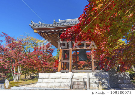 秋の智積院　もみじ越しに見える鐘楼堂（京都市東山区） 109380072