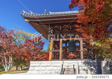 秋の智積院　もみじ越しに見える鐘楼堂（京都市東山区） 109380073