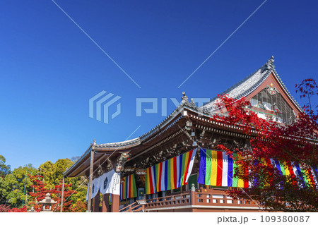 秋の智積院　真っ赤に色づいたモミジと金堂（京都市東山区） 109380087