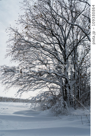 Country winter landscape 109380864