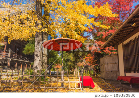 日本の秋　京都　奥嵯峨野の紅葉風景 109380930