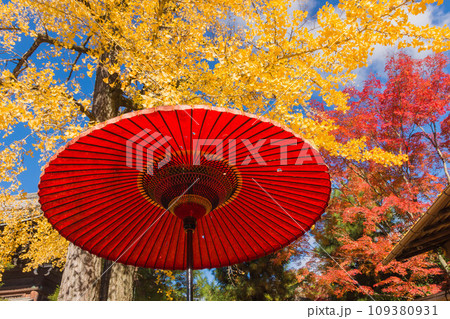 日本の秋　京都　奥嵯峨野の紅葉風景 109380931