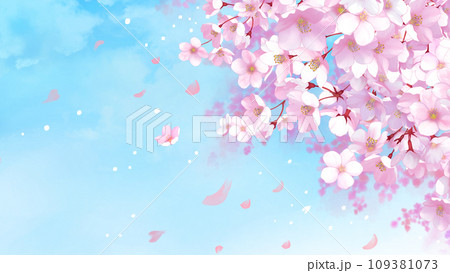 桜と青空の背景　桜吹雪　16:9 109381073