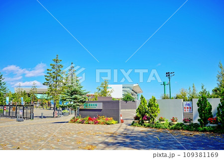 札幌競馬場の景色 109381169