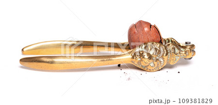 Large nut with vintage nutcracker Large nut with vintage nutcracker 109381829