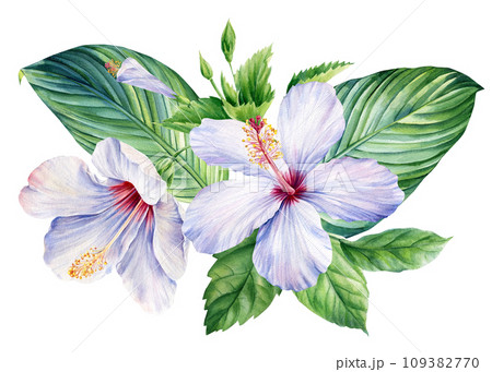 Tropical flora isolated background, hibiscus and palm leaf, Beautiful watercolor plants, leaves and flowers  109382770