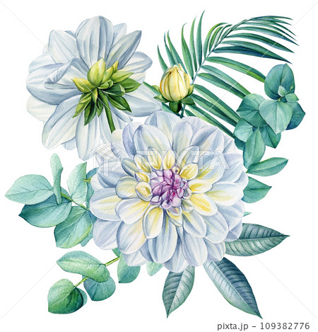 Bouquet of dahlia flowers, eucalyptus branches and green leaves, Watercolor botanical illustration. Floral design 109382776