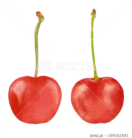 水彩風おいしそうなツヤツヤのさくらんぼ-2個整列 109382891