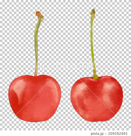 水彩風おいしそうなツヤツヤのさくらんぼ-2個整列 109382891
