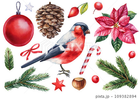 Winter bird watercolor isolated white background. Hand painted illustration. Bullfinch, pine cone and Christmas boll  109382894