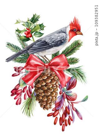 Red cardinal, berries and pine cone. Winter bird watercolor isolated on white background. Christmas illustration 109382951