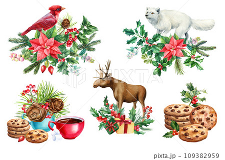 Bird, animal and sweet, holly branches, pine cone and star flower. drawn in watercolor postcard, poster 109382959