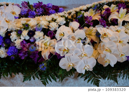 胡蝶蘭が入ったお洒落な花祭壇 胡蝶蘭が入ったお洒落な花祭壇 109383320