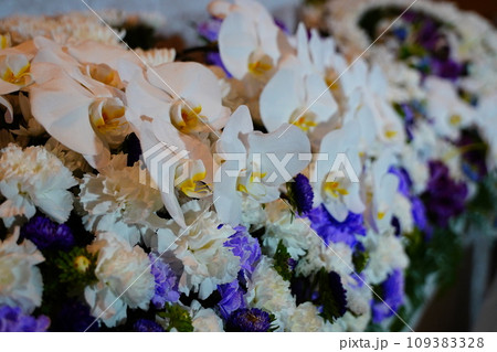 胡蝶蘭が入ったお洒落な花祭壇 109383328