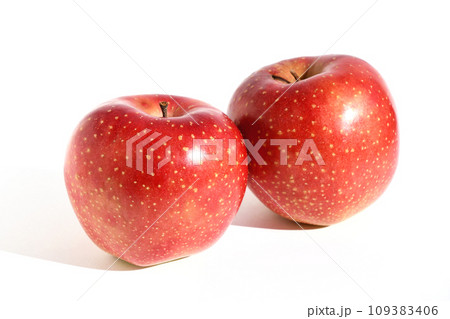 小雪が舞っているような果点のあるりんご、千雪 109383406