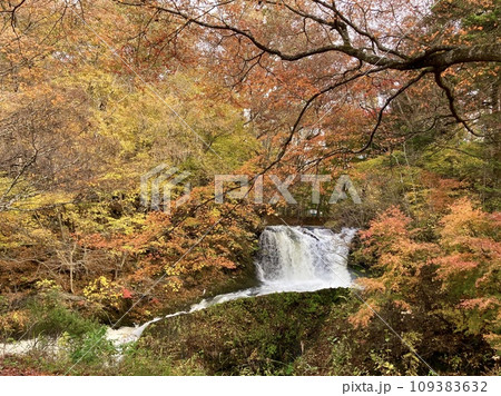 富士山麓鐘山の滝と紅葉 富士山麓鐘山の滝と紅葉 109383632