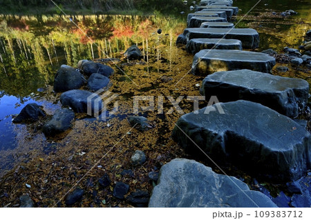 埼玉県嵐山町　紅葉の武蔵嵐山渓谷槻川の飛び石に紅葉の倒影 109383712