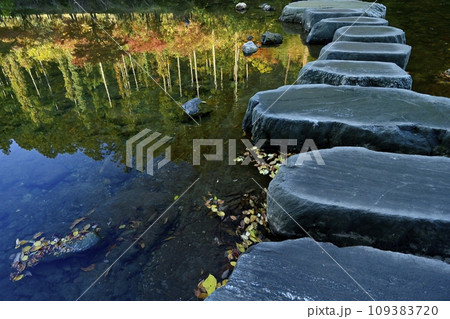 埼玉県嵐山町　紅葉の武蔵嵐山渓谷槻川の飛び石に紅葉の倒影 109383720