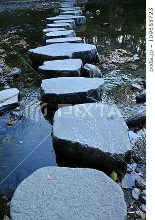 埼玉県嵐山町　紅葉の武蔵嵐山渓谷槻川の飛び石 109383723
