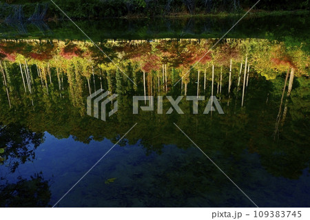 埼玉県嵐山町　紅葉の武蔵嵐山渓谷槻川に紅葉の倒影 109383745