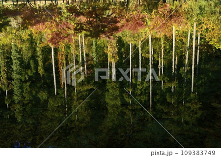 埼玉県嵐山町　紅葉の武蔵嵐山渓谷槻川に紅葉の倒影 109383749