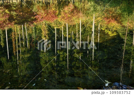 埼玉県嵐山町 紅葉の武蔵嵐山渓谷槻川に紅葉の倒影 埼玉県嵐山町 紅葉の武蔵嵐山渓谷槻川に紅葉の倒影 109383752
