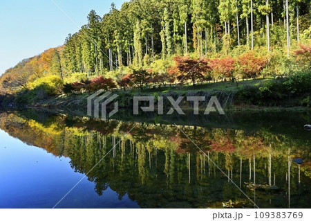 埼玉県嵐山町　紅葉の武蔵嵐山渓谷槻川に紅葉の倒影 109383769