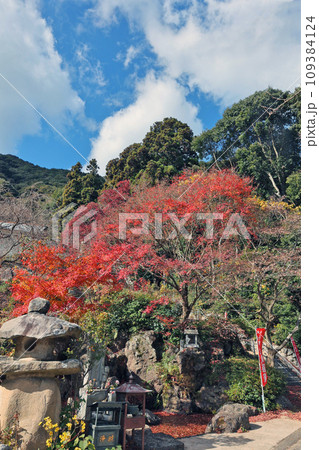 帯石観音の紅葉 帯石観音の紅葉 109384124