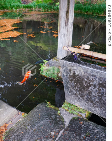 赤城山山麓の三夜沢赤城神社（群馬県前橋市） 109384873