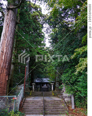 赤城山山麓の三夜沢赤城神社（群馬県前橋市） 109384880