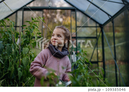 Little girl taking care of plants in greenhouse, during first spring days. Concept of water conservation in garden and family gardening. 109385046