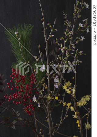 お正月飾り用の植物と花 109385607