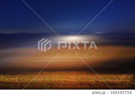湿原の朝（渡良瀬遊水池） 109385758