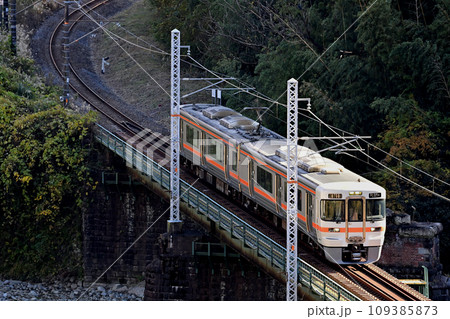 御殿場線 山北ー谷峨 JR東海 313系2300番台 W4編成(静岡) 御殿場線 山北ー谷峨 JR東海 313系2300番台 W4編成(静岡) 109385873