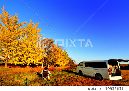 バンライフ　紅葉　銀杏並木（栃木県） 109386514