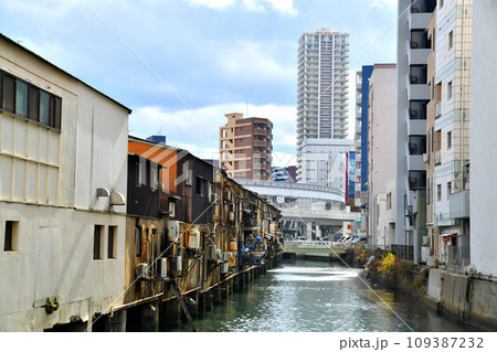 旦過橋/神嶽川より平和橋方向を望む(福岡県北九州市)【2023.12】 旦過橋/神嶽川より平和橋方向を望む(福岡県北九州市)【2023.12】 109387232