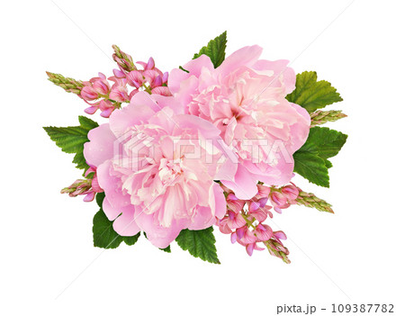 Pink peonies and onobrychis flowers in a floral arrangement isolated 109387782