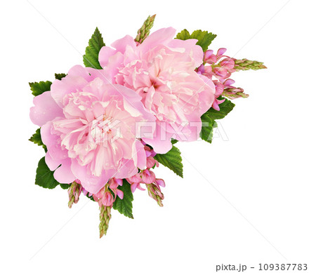 Pink peonies and onobrychis flowers in a floral corner arrangement isolated on white 109387783