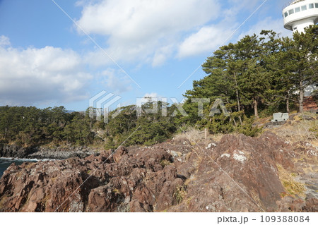城ヶ崎海岸 城ヶ崎海岸 109388084