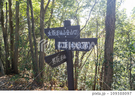 男坂と女坂の分岐（津久井湖城山公園） 109388097