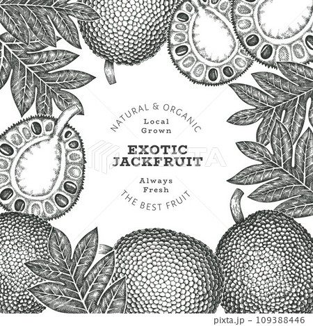 Hand drawn sketch style jackfruit banner. Organic fresh fruit vector illustration. Retro breadfruit design template 109388446
