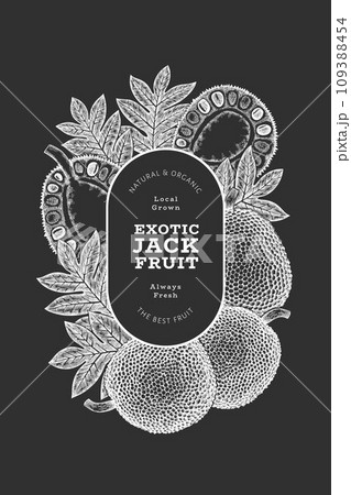Hand drawn sketch style jackfruit banner. Organic fresh fruit vector illustration on chalk board. Retro breadfruit design template Hand drawn sketch style jackfruit banner. Organic fresh fruit vector illustration on chalk board. Retro breadfruit design template 109388454